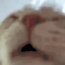 FunnyCatTastingTHEWATER emote