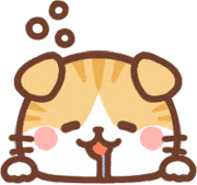 cat_doze emote