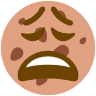 weary_cookie emote