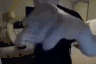 boxing emote
