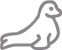 seal emote