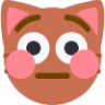 flushed_cat emote