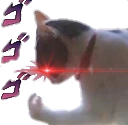 catto_dio emote