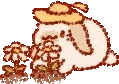 Daisy emote