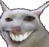 SmileCat static emote