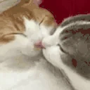 Kissahomie emoji