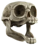 nawwwwwwwww emote