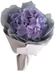 purple_bouquet emote