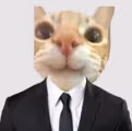 KittyCat emote