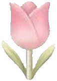 tulip emote