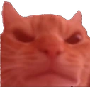 rage emote