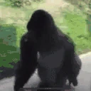 GorillaSpin emote