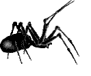 Spider_1 emote