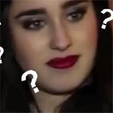 Wtfdidusay emote