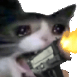 CatGun animated emote