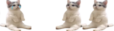 catsittingverycomfortablebutfounditsfriendstheywerehereallalong emote