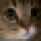 miniMeow emote
