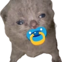 binky emote