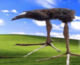 DAMN emote