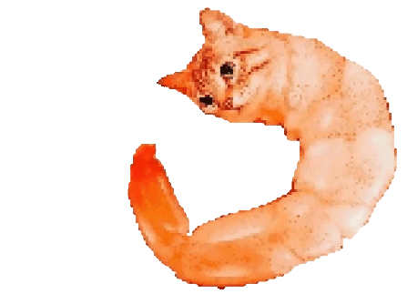 ShrimpCat emoji