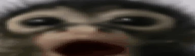 000000000 emote