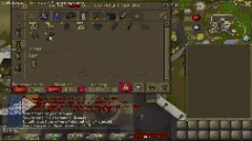 EntireBirdhouseRun emote