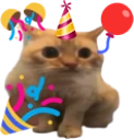 birthdaySpoingus emote