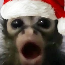 0 emote