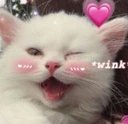 Cat_Wink emoji