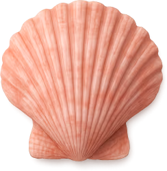 Lightpinkseashell emote