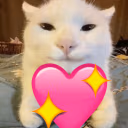 tou emote