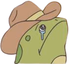 sad_yeehaw emote