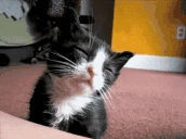 Sleepy emote