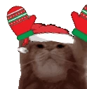Catting emote