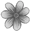 prettyflower emote