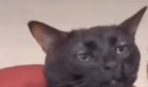 Despair emote