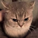 tight emote