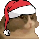 CatNum emote