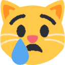 cryCat emote
