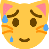cat_sweating emote