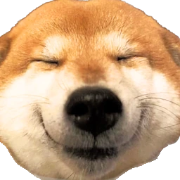doge_kyaa emote