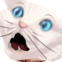 DGF_CatAHHH emote