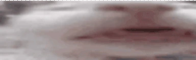 CaaaatLookingSusAndCute emote