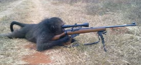 snipermonkey emote