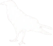 Crow emote