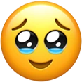 PleadingCry emote