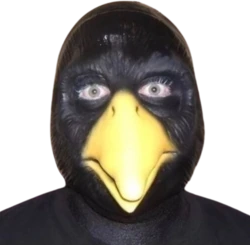 cursed_bird_stare emote