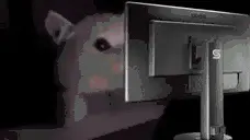 FLASHBANG emote