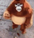 NEWMONKEY emote