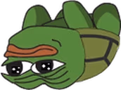 Turtle emote